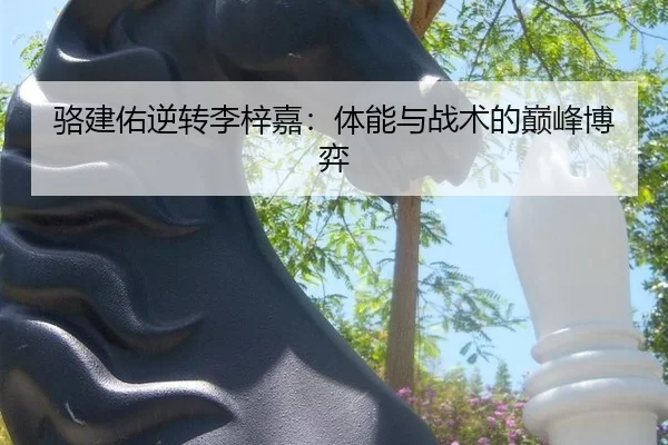 luo-jian-you-ni-zhuan-li-zi-jia-ti-neng-yu-zhan-shu-de-dian-feng-bo-yi-2-165.jpg